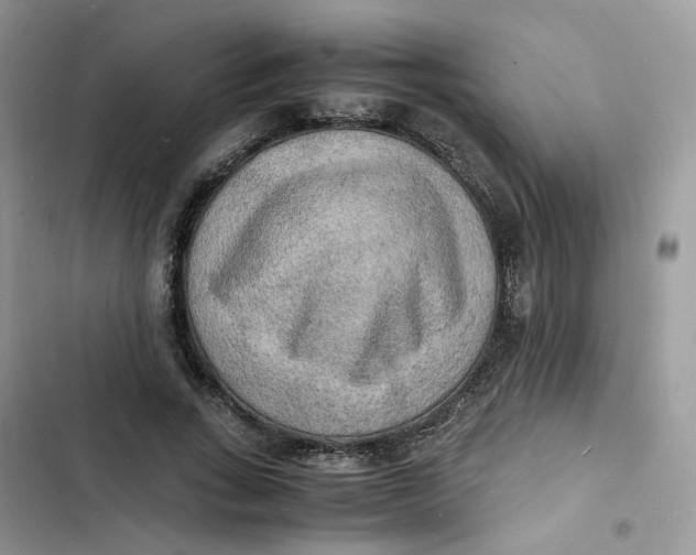 X0000103290735200809191829