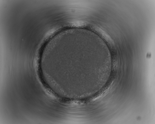 X0000103290736200809191830