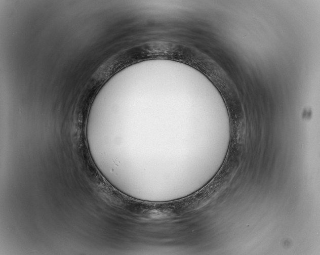 X0000103290737200809191830