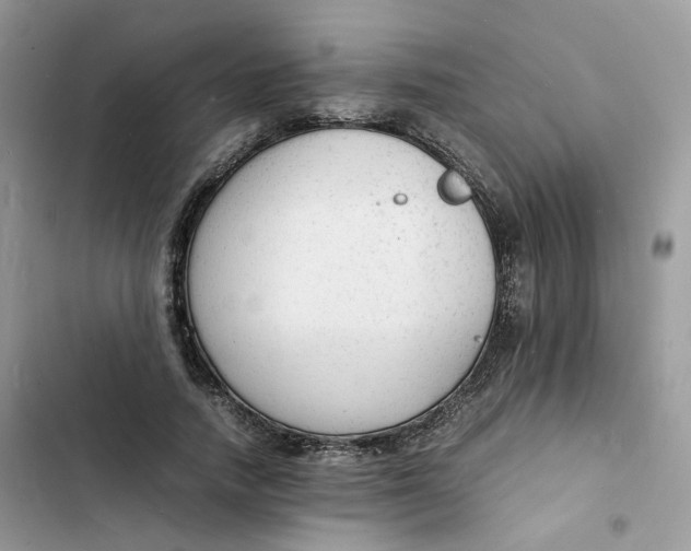 X0000103290738200809191830