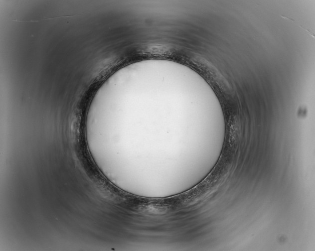 X0000103290739200809191830