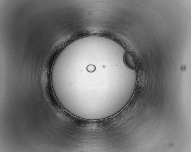 X0000103290740200809191830