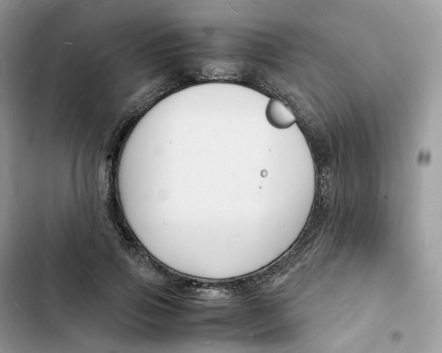 X0000103290741200809191830