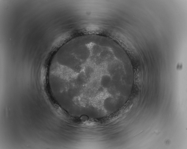 X0000103290742200809191830