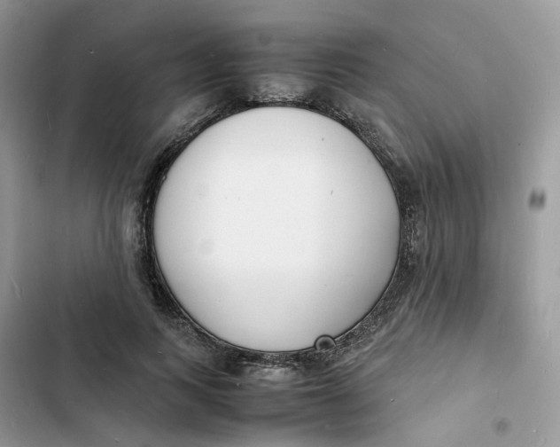 X0000103290743200809191830