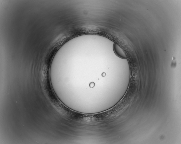 X0000103290744200809191830