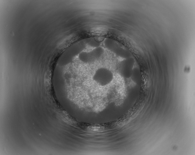 X0000103290745200809191830