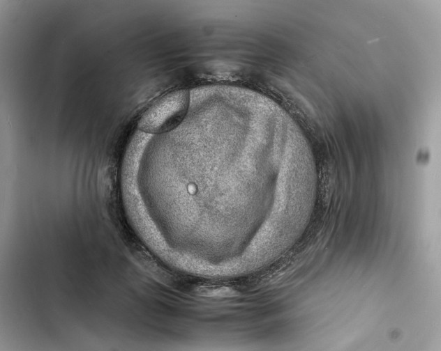 X0000103290747200809191830