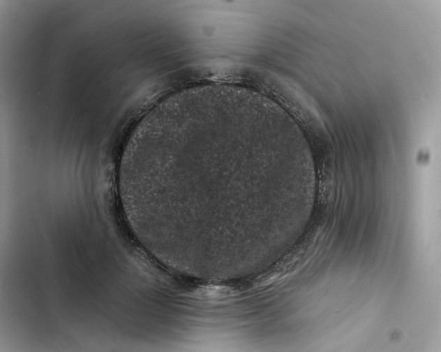 X0000103290748200809191830