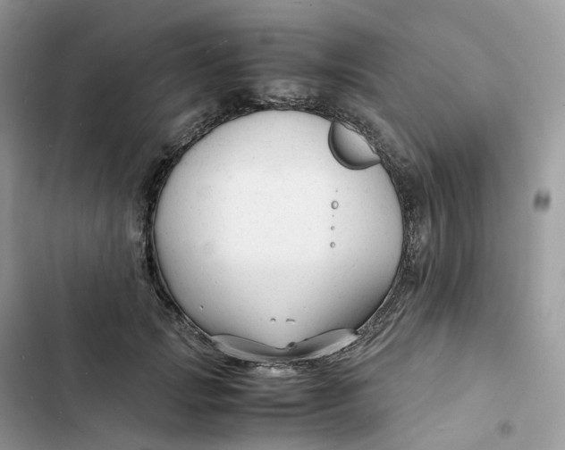 X0000103290749200809191830