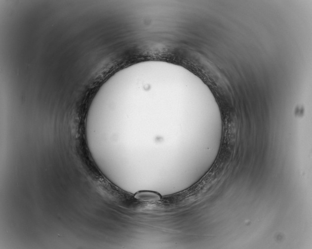 X0000103290750200809191830