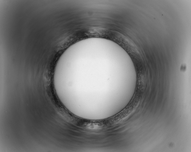 X0000103290751200809191830