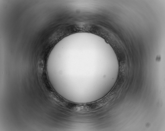 X0000103290752200809191830