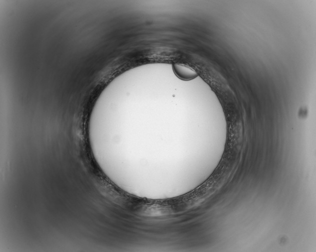 X0000103290755200809191830