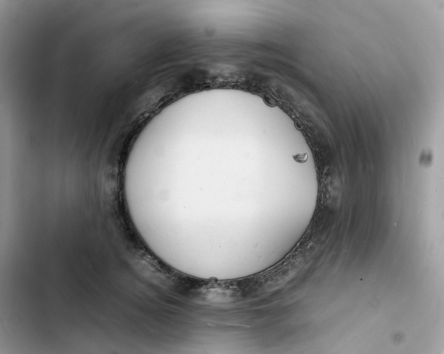 X0000103290756200809191830