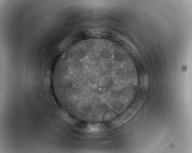 X0000103290757200809191830