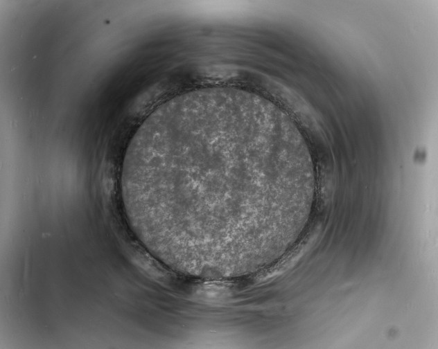 X0000103290758200809191830