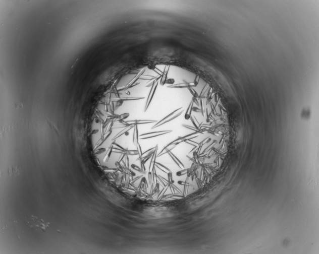 X0000103290759200809191830