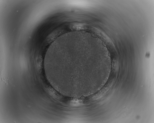 X0000103290760200809191830