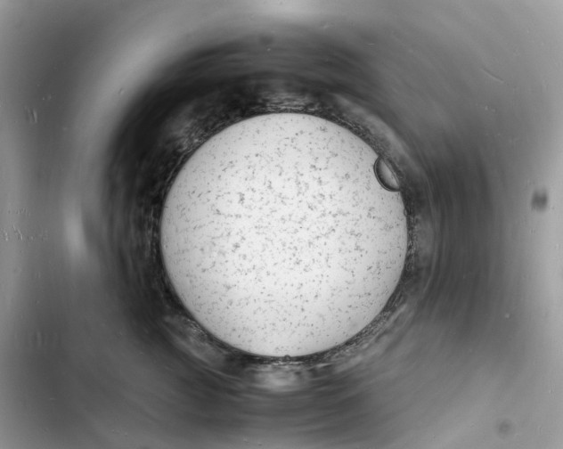 X0000103290761200809191830