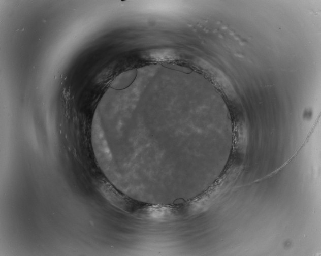 X0000103290762200809191830