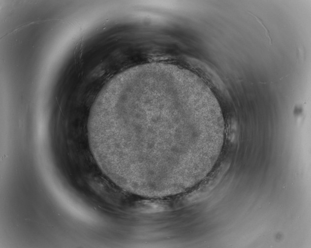 X0000103290763200809191830