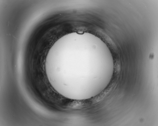 X0000103290764200809191830