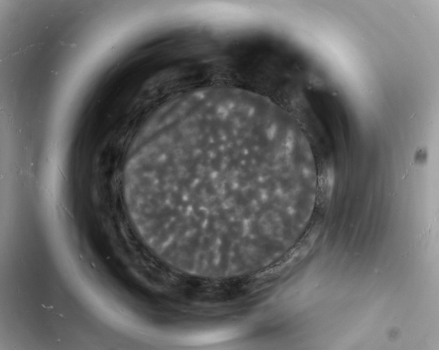 X0000103290765200809191830