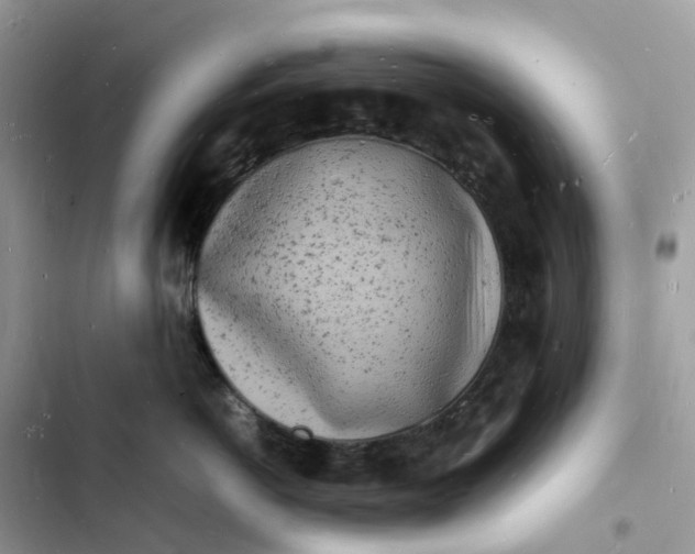 X0000103290766200809191830