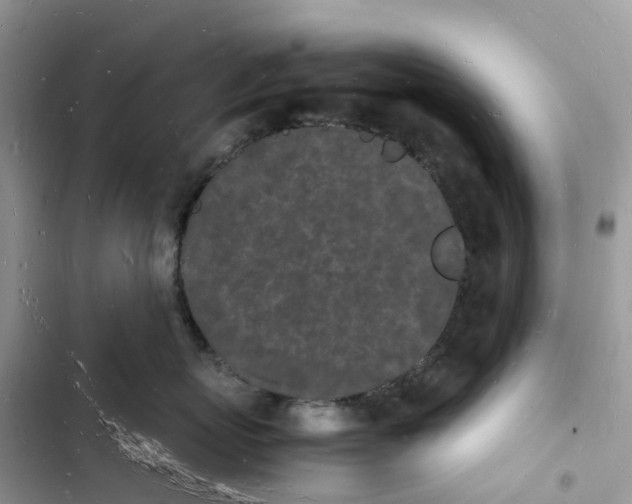 X0000103290767200809191830