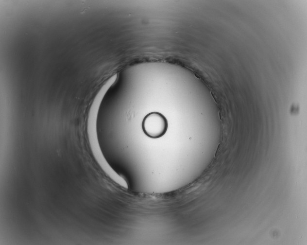 X0000103290768200809191830