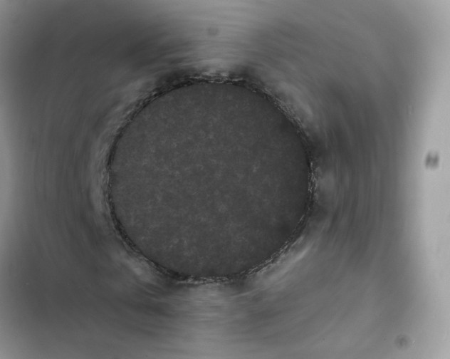 X0000103290769200809191829