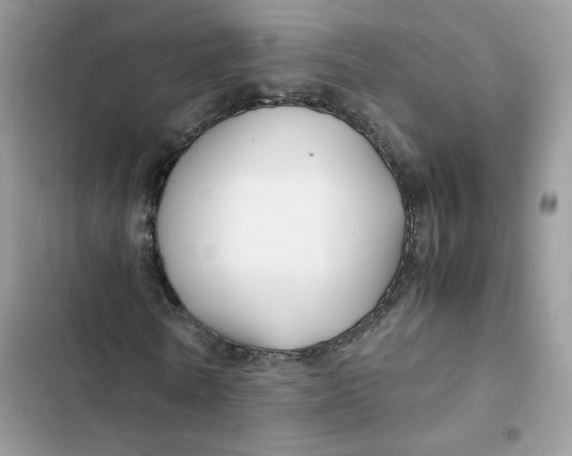 X0000103290770200809191829