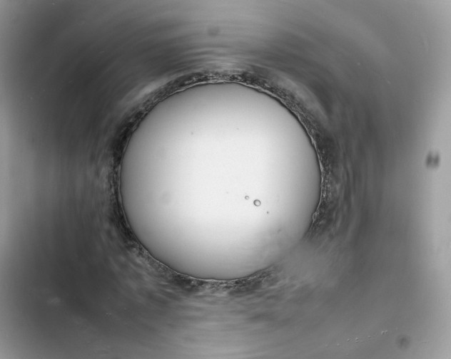 X0000103290773200809191829