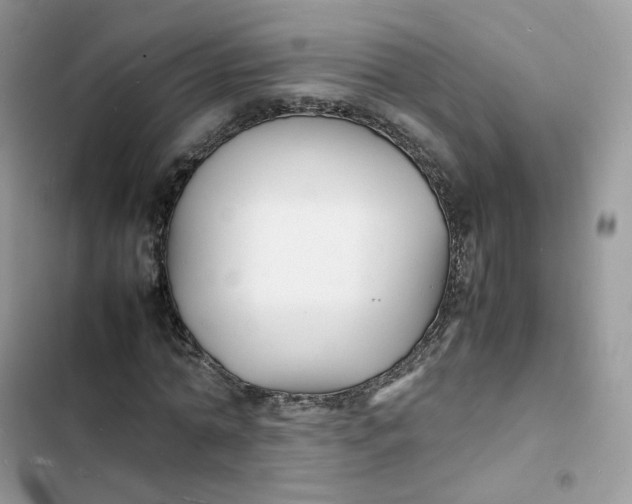 X0000103290774200809191829