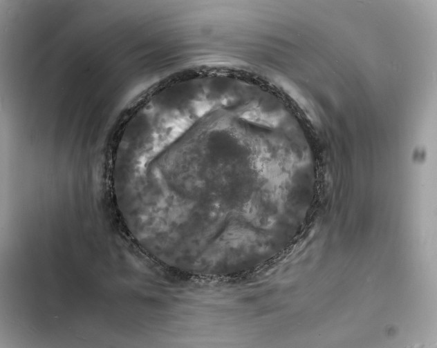 X0000103290775200809191829