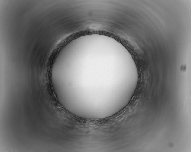 X0000103290776200809191829