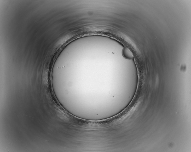 X0000103290777200809191829