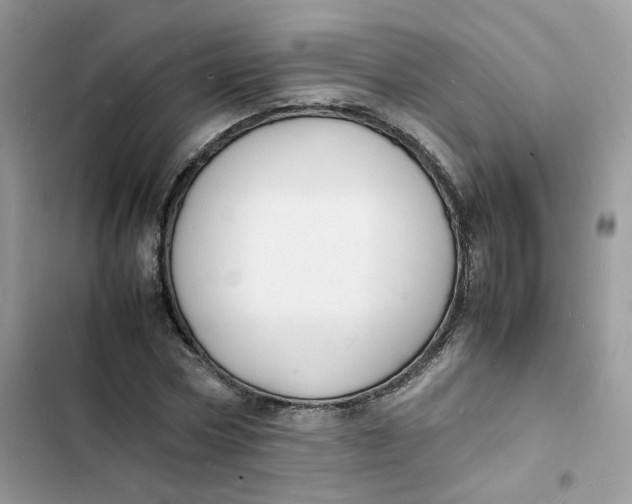 X0000103290778200809191829