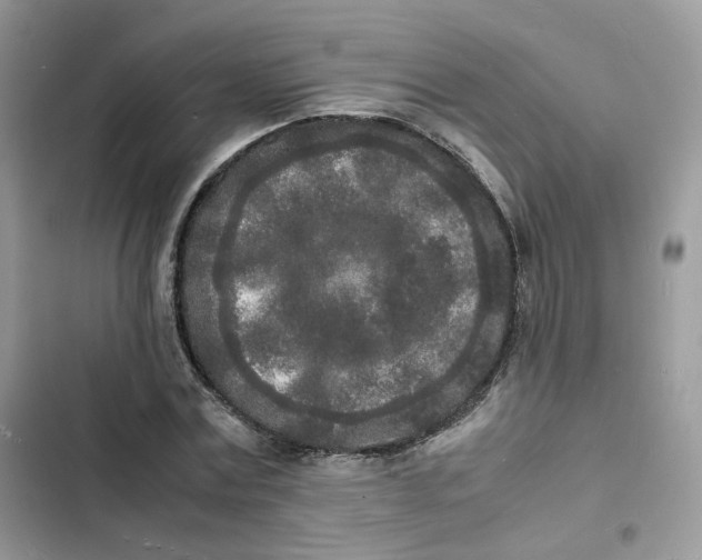 X0000103290779200809191829