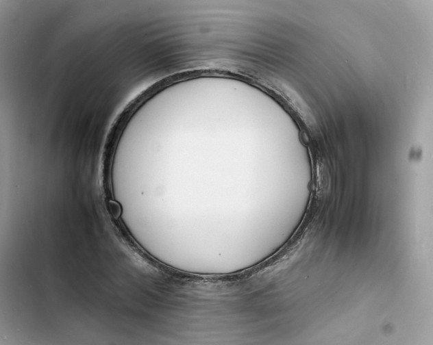 X0000103290780200809191829