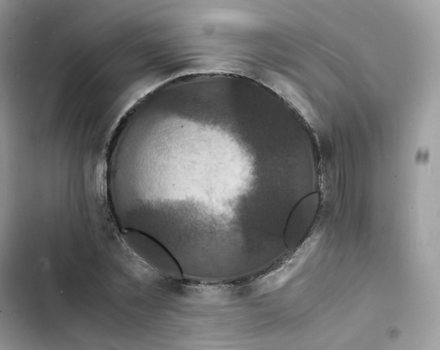 X0000103290781200809191829