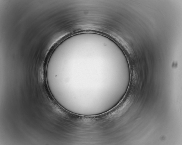 X0000103290782200809191829