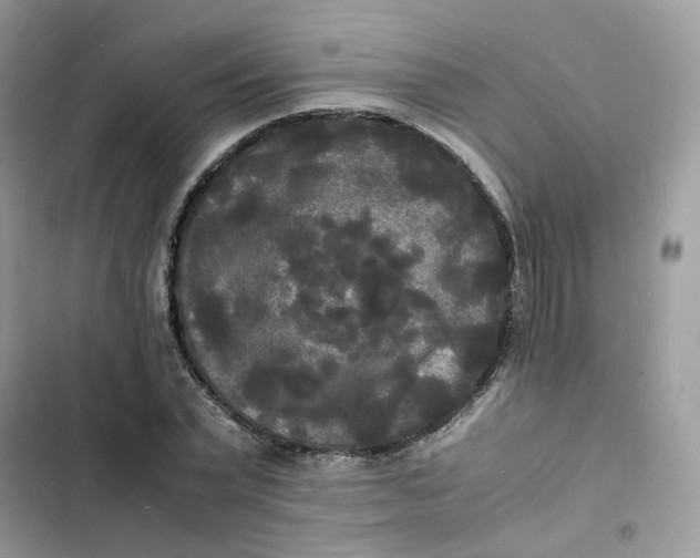 X0000103290783200809191829