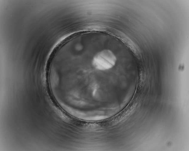 X0000103290784200809191829