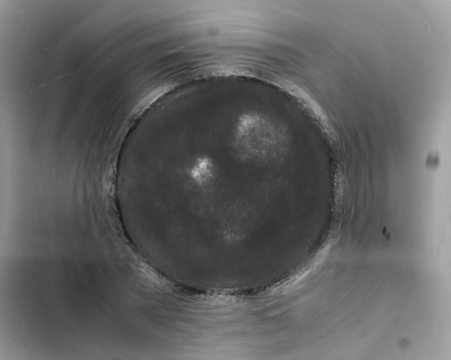 X0000103290785200809191829