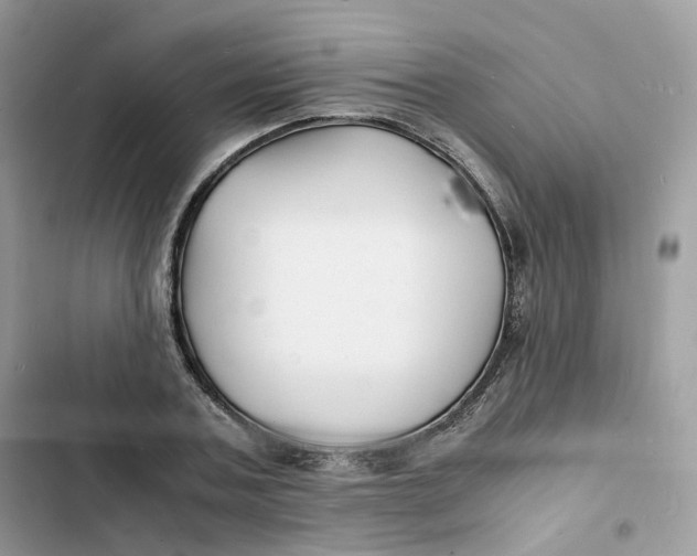 X0000103290787200809191829