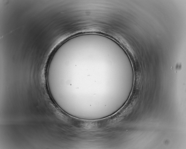 X0000103290789200809191829