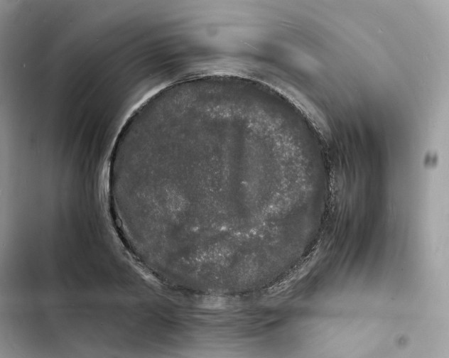 X0000103290790200809191829