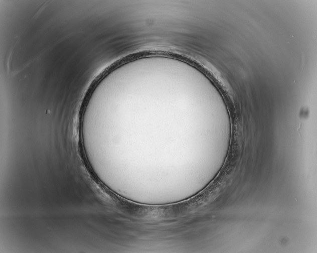 X0000103290791200809191829